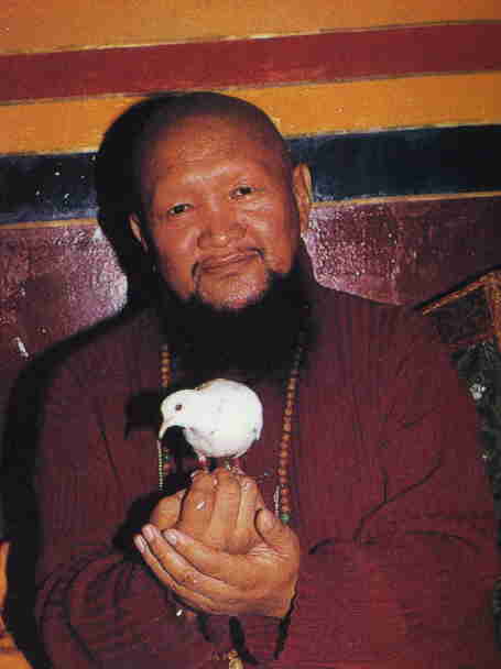 Lama Gangchen mit Taube